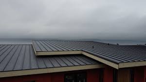 Fast & Reliable Emergency Roof Repairs in West Point, NE